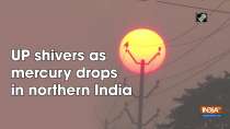 UP shivers as mercury drops in northern India