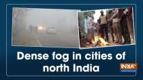 Dense fog in cities of north India