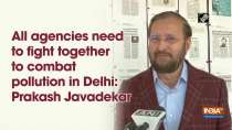 All agencies need to fight together to combat pollution in Delhi: Prakash Javadekar