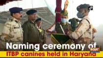 Naming ceremony of ITBP canines held in Haryana