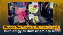 Bhopal Gas Tragedy: Victims protest, burn effigy of Dow Chemical CEO