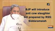 BJP will introduce anti cow slaughter bill prepared by RSS: Siddaramaiah
