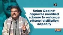Union Cabinet approves modified scheme to enhance ethanol distillation capacity