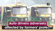 Auto drivers adversely affected by farmers