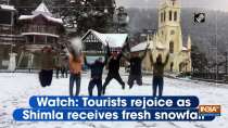 Watch: Tourists rejoice as Shimla receives fresh snowfall