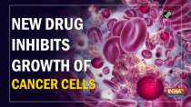 New drug inhibits growth of cancer cells