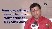 Farm laws will help farmers become 