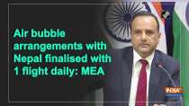 Air bubble arrangements with Nepal finalised with 1 flight daily: MEA