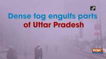 Dense fog engulfs in cities of Uttar Pradesh
