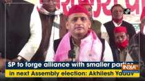 SP to forge alliance with smaller parties in next Assembly election: Akhilesh Yadav