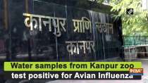 Water samples from Kanpur zoo test positive for Avian Influenza