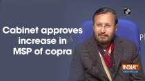 Cabinet approves increase in MSP of copra