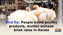 Bird flu: People avoid poultry products, mutton witness brisk raise in Kerala