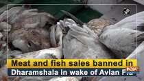 Meat and fish sales banned in Dharamshala in wake of Avian Flu