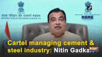 Cartel managing cement and steel industry: Nitin Gadkari
