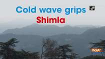 Cold wave grips Shimla
