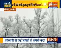 White blanket of snow covers Kashmir valley