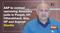 AAP to contest upcoming Assembly polls in Punjab, UP, Uttarakhand, Goa, HP and Gujarat: Sisodia