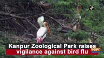 Kanpur Zoological Park raises vigilance against bird flu