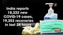 India reports 18,222 new COVID-19 cases, 19,253 recoveries in last 24 hours