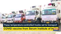These temperature-controlled trucks set to transport COVID vaccine from Serum Institute of India