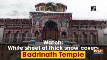 Watch: White sheet of thick snow covers Badrinath Temple