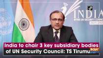 India to chair 3 key subsidiary bodies of UN Security Council: TS Tirumurti
