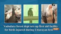Vadodara forest dept sets up first aid facility for birds injured during Uttarayan festival
