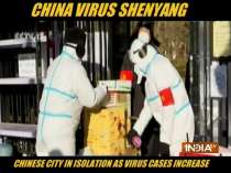 Chinese city in isolation as virus cases increase