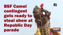 BSF Camel contingent gets ready to steal show at Republic Day parade