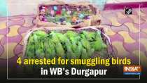 4 arrested for smuggling birds in WB