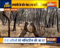 VIDEO:  Fight between tigress Riddhi and Siddhi in  Rajasthan