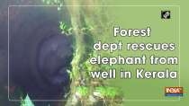 Forest dept rescues elephant from well in Kerala