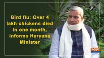 Bird flu: Over 4 lakh chickens died in one month, informs Haryana Minister