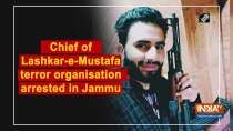Chief of Lashkar-e-Mustafa terror organisation arrested in Jammu