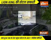 Wild lion enters hotel compound in Junagarh, Gujarat | Watch video