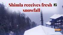 Shimla receives fresh snowfall