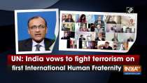 UN: India vows to fight terrorism on first International Human Fraternity Day