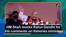 HM Shah mocks Rahul Gandhi for his comments on fisheries ministry