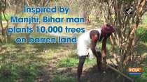 Inspired by Manjhi, Bihar man plants 10,000 trees on barren land