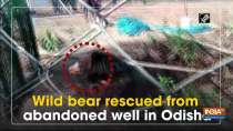 Wild bear rescued from abandoned well in Odisha