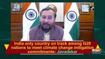 India only country on track among G20 nations to meet climate change mitigation commitments: Javadekar