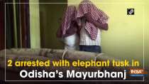 2 arrested with elephant tusk in Odisha