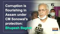 Corruption is flourishing in Assam under CM Sonowal