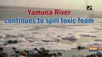 Yamuna River continues to spill toxic foam