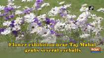 Flower exhibition near Taj Mahal grabs several eyeballs