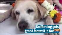 Watch: Sniffer dog gets grand farewell in Nashik