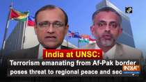 India at UNSC: Terrorism emanating from Af-Pak border poses threat to regional peace and security
