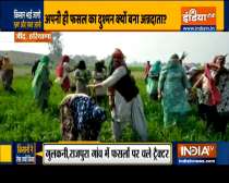 Farmers destroy their crops after BKU leader Rakesh Tikait