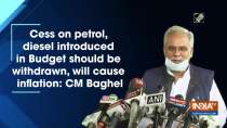 Cess on petrol, diesel introduced in Budget should be withdrawn, will cause inflation: CM Baghel